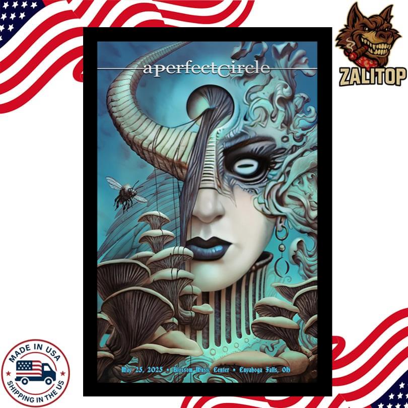 A Perfect Circle Cuyahoga Falls Poster