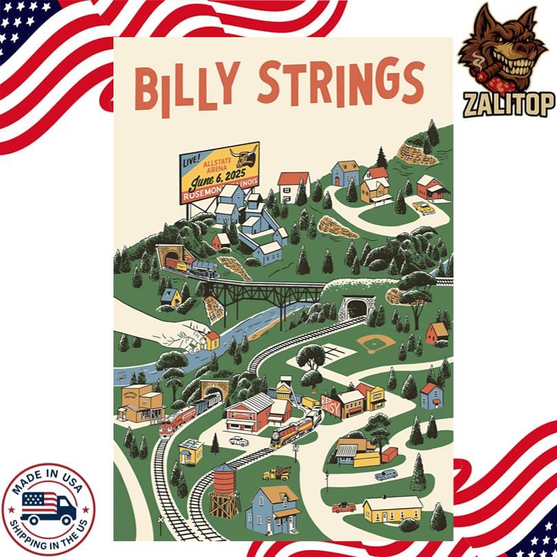 2025-06-06 Allstate Arena Rosemont, IL Goose Poster