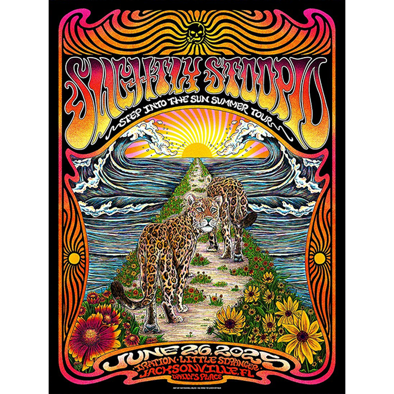 2025 Slightly Stoopid Tour Poster – Florida Show