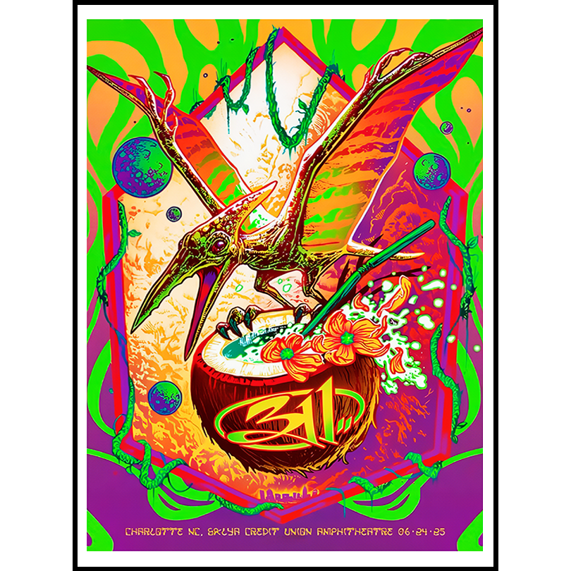 311 June 24 2025 Poster – Skyla Credit Union Amphitheatre, Charlotte NC