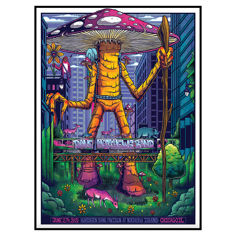 Dave Matthews Band Concert Poster – June 27, 2025 – Northerly Island, Chicago IL