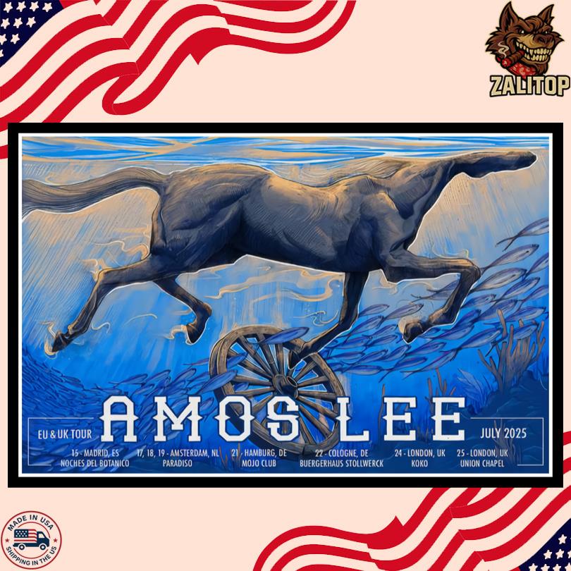 Amos Lee July Tour 2025 Poster